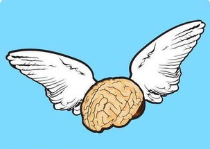 记忆力怎么提高教你一个简单方法,记忆力瞬间提升10倍的4个小妙招