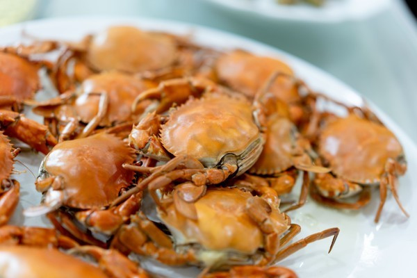 广州南沙最美风景区,南沙湾区超美风景线