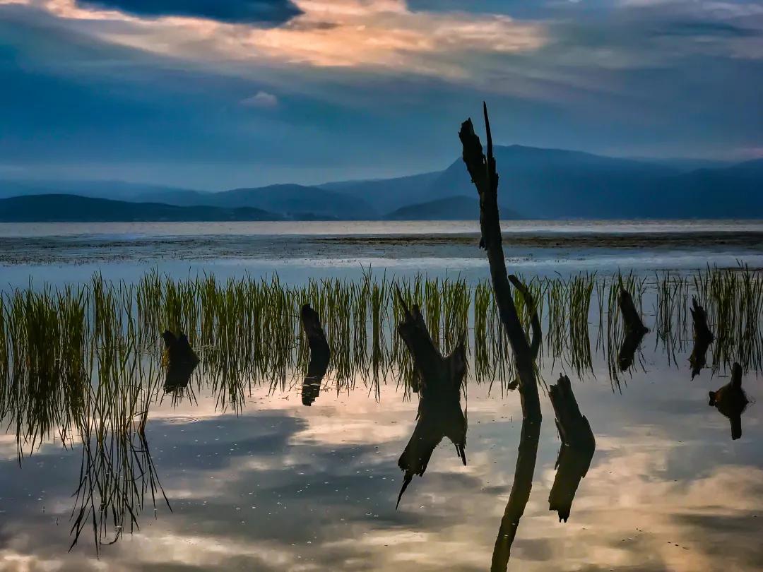 2023平遥国际摄影节获奖摄影作品,2009大理摄影展获奖作品