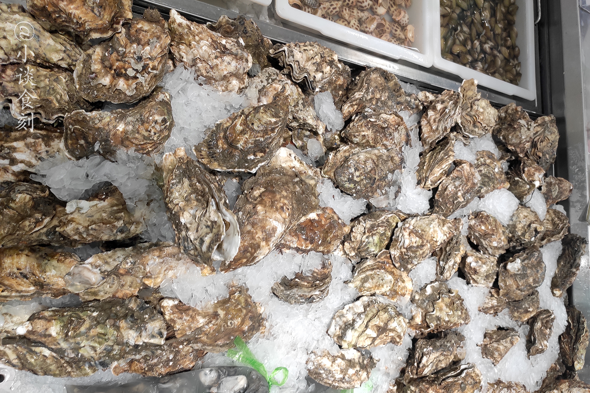 超市袋装生蚝肉为什么便宜,超市十几块一箱的生蚝