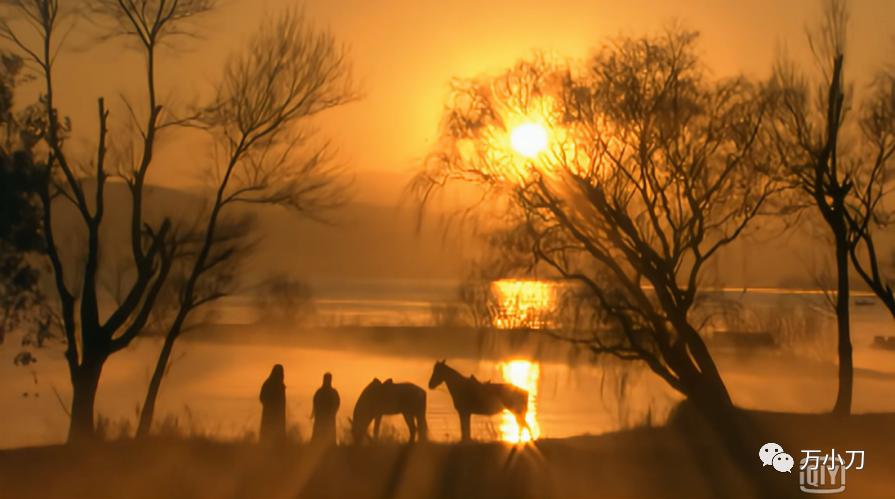 “男女通吃”某明星的瓜
