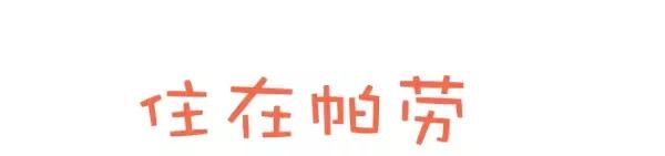 帕劳旅游攻略自由行路线推荐,帕劳旅游攻略全过程