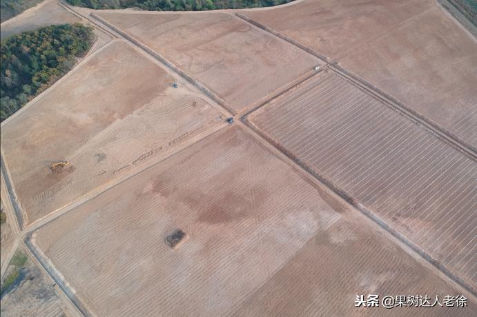 樱桃好吃树难栽，已经过时了，关键是要掌握好这些标准管理技术