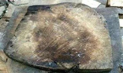 德国不锈钢菜板抗菌防霉,除菌防霉菜板