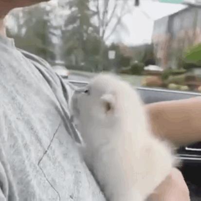 女生聊天怎么才能让男生心动,小学生做两个动作能让男生心动