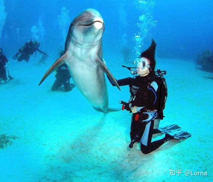 迪拜上班的中国女孩,在迪拜的中国女孩做什么工作