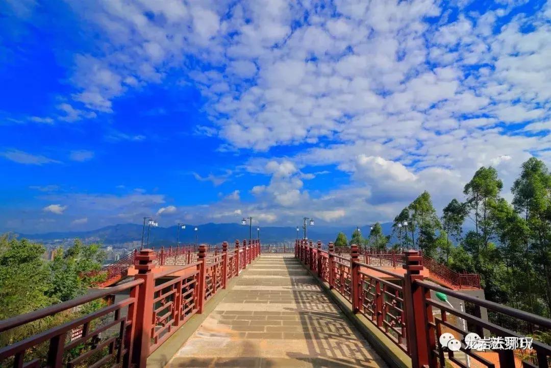 新罗区著名景点有哪些地方,新罗区景点排行榜前十名