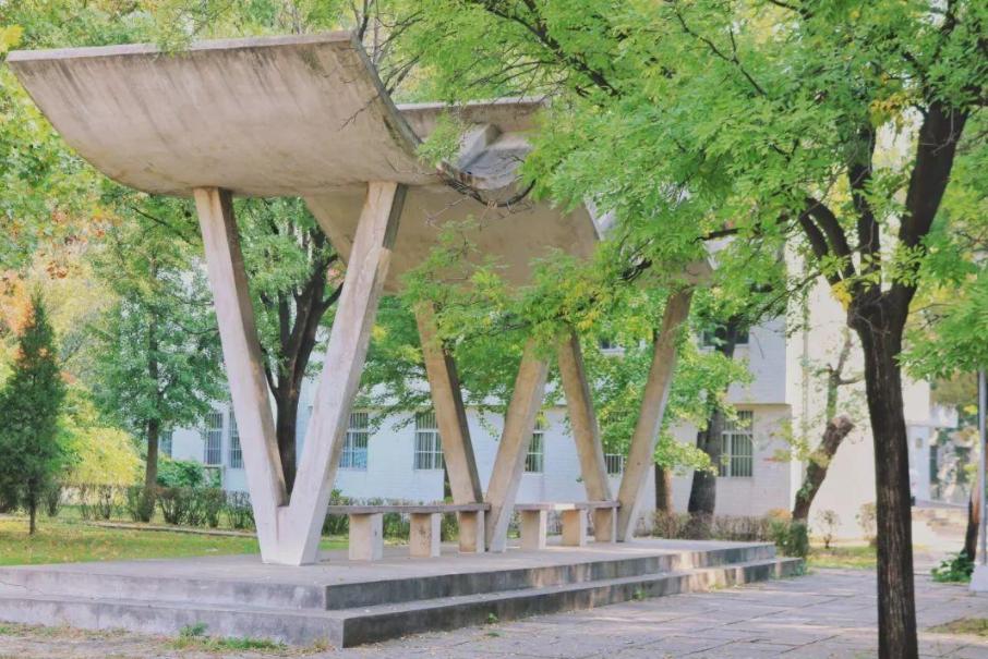 山东喜迎一所“本科”大学,实力雄厚,深受“中等生”青睐