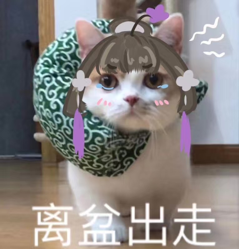 剑网3最惨的三个玩家攻略,剑网三明教苍云pvp哪个厉害