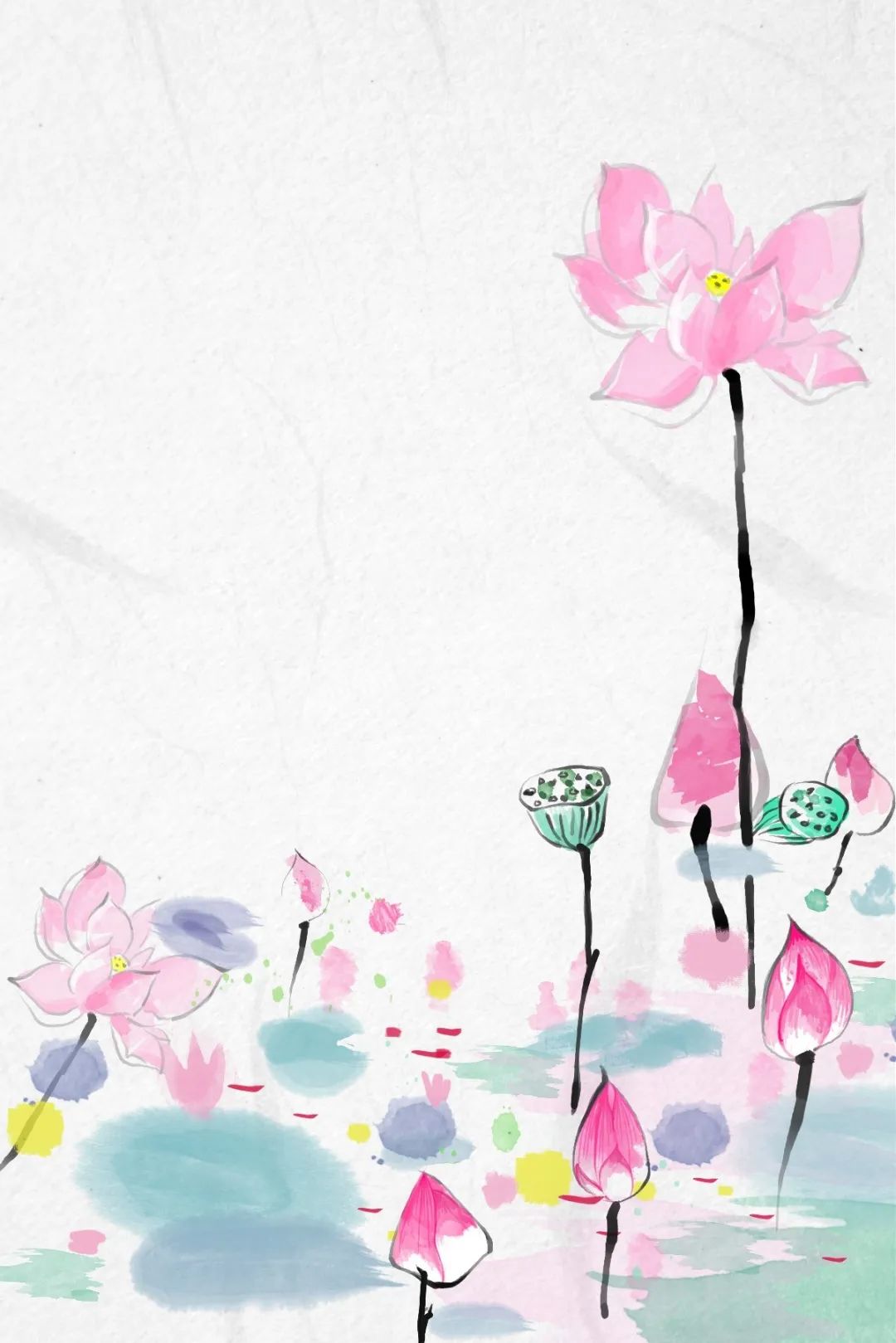 描写荷花的诗句和优美句子,描写荷花的好词名句