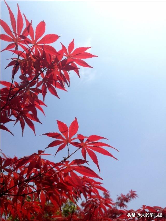 给宝宝洗屁屁时把孩子刮伤,给宝宝洗屁屁如何洗是正确的