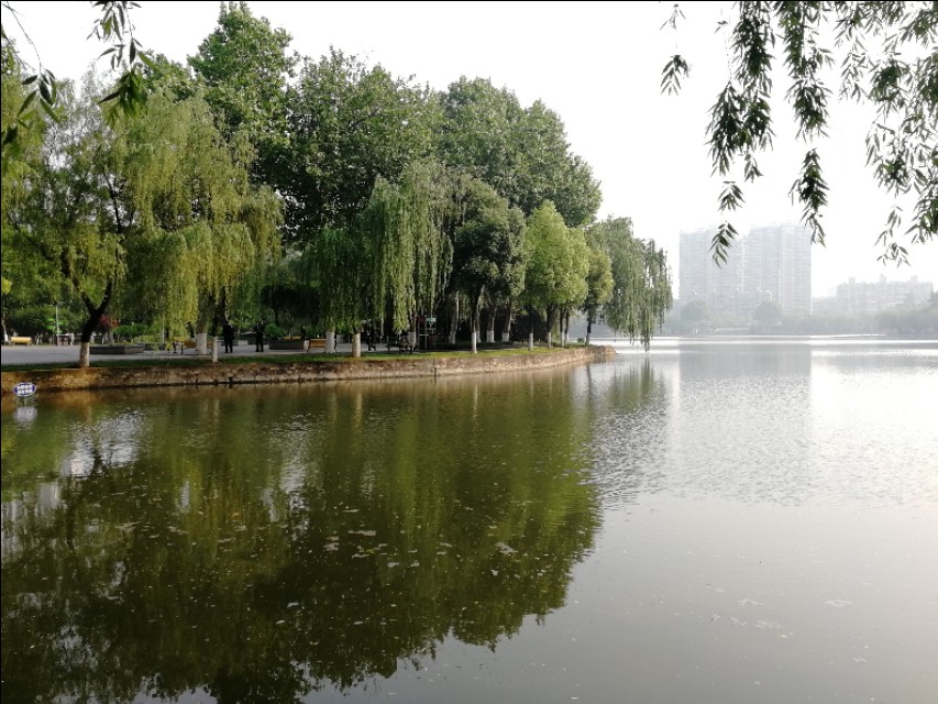 武汉菱角湖公园有亭子吗,武汉菱角湖公园开放时间