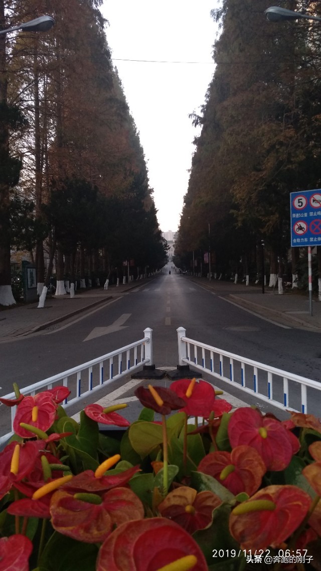 南京农业大学秋天美景,逛一下环境优美的南京农业大学
