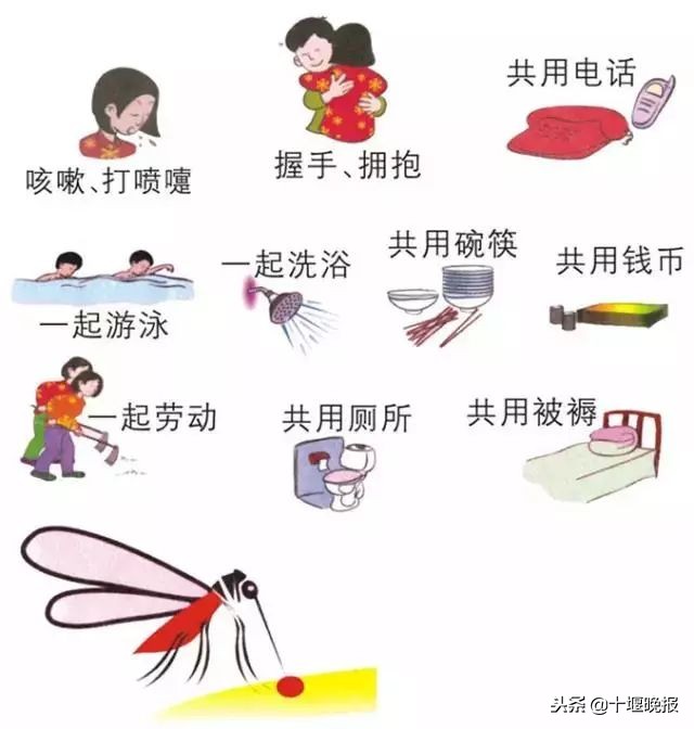 男子跟前女友染上艾滋病,男子跟女人交往感染艾滋病