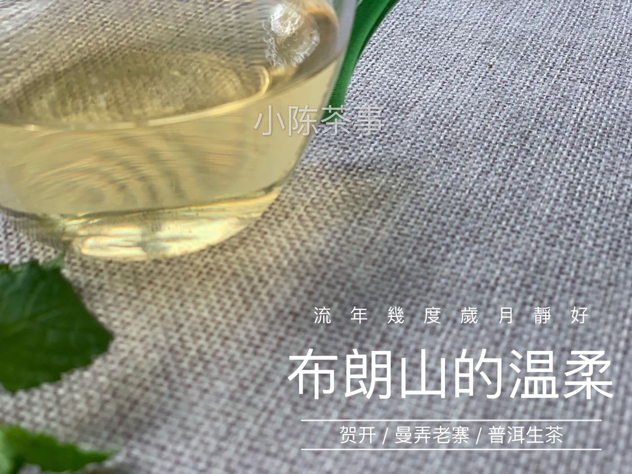 普洱茶和岩茶冲泡技巧的区别,白茶和岩茶普洱茶要怎么冲泡合适