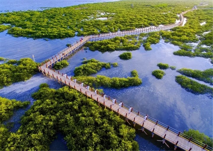 广西北海负氧离子怎么产生的,北海空气负氧离子含量是多少