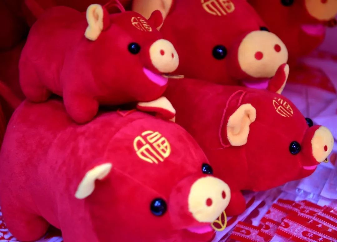 2019猪年到鼠年,2019年猪年和2020年鼠年