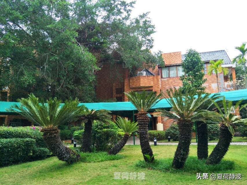 海南潜水旅游攻略一日游,海南亚龙湾游记