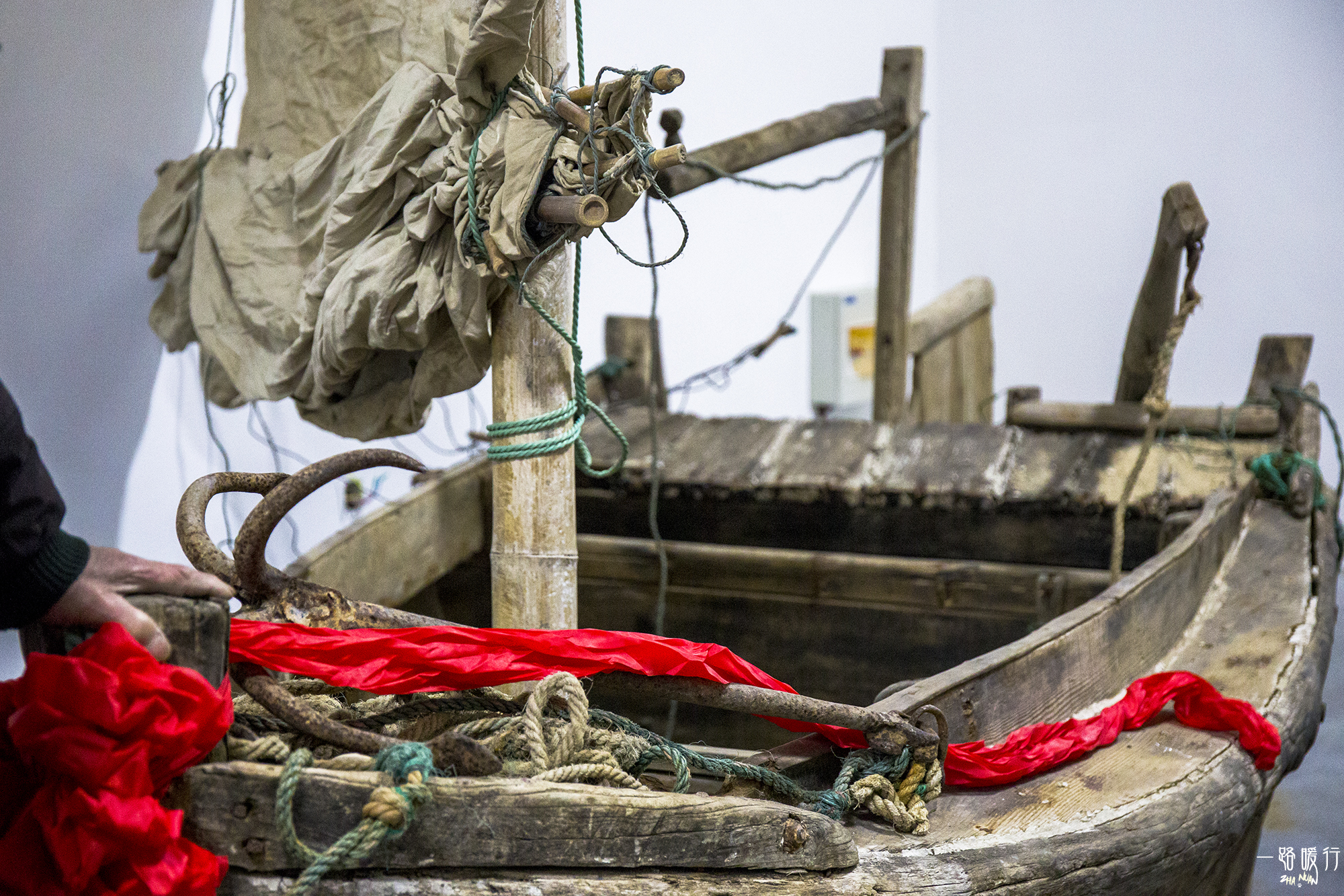 野生牡蛎王,海边野生牡蛎