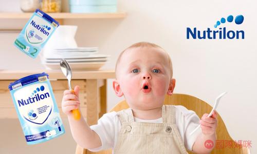 德国奶粉和荷兰奶粉哪个好,荷兰子母奶粉好还是蓝胖子奶粉好