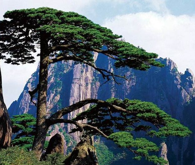 「诗词原创」邓寿康戊戌七言诗草