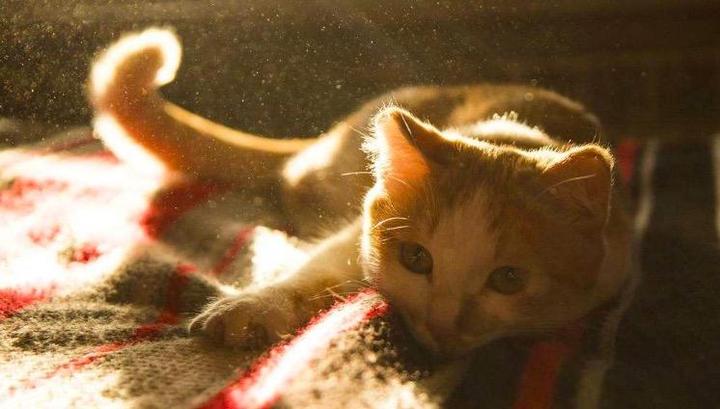 在看不见的地方下功夫,在看不见的地方讲究才是真讲究