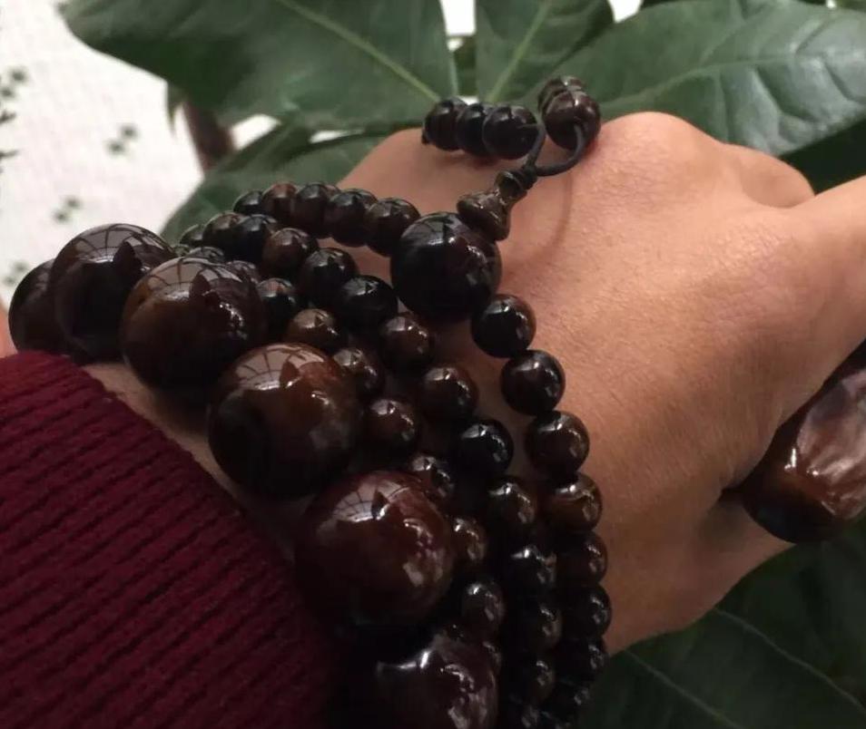 满血海柳的鉴别方法,绿色海柳鉴别