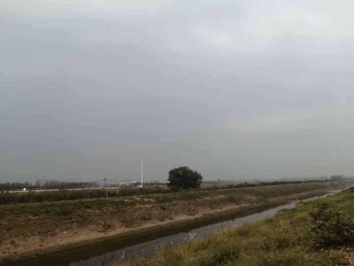 思乡不归乡的人,思乡却不知乡在何处