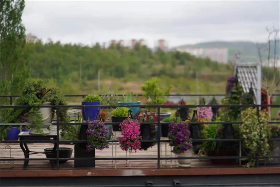 星空露营生态园,星空露营户外团建策划