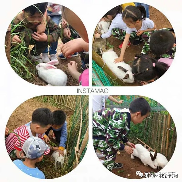 五一怀化亲子游推荐,怀化五一可以带孩子参观的地方