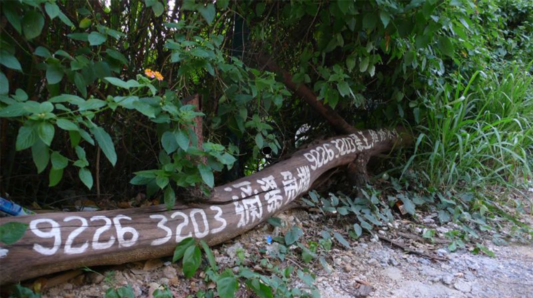 香港大街小巷涂鸦,香港街头涂鸦全景