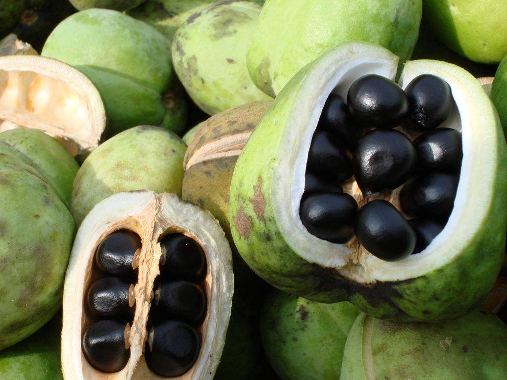 甘肃的地理与气候,甘肃自然环境