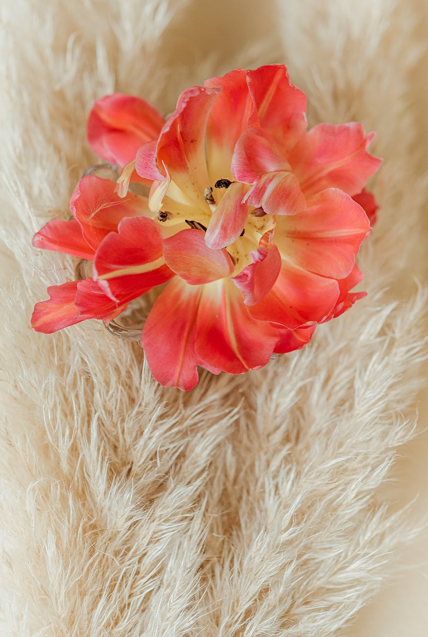 如何成为“有钱人”：做到这八点