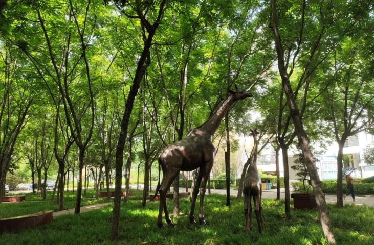 郑州2020中考省重点高中分数线,郑州各高中中招录取线