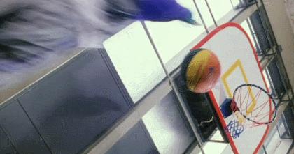 郑伊健古天乐老照片,郑伊健古天乐电视剧1994