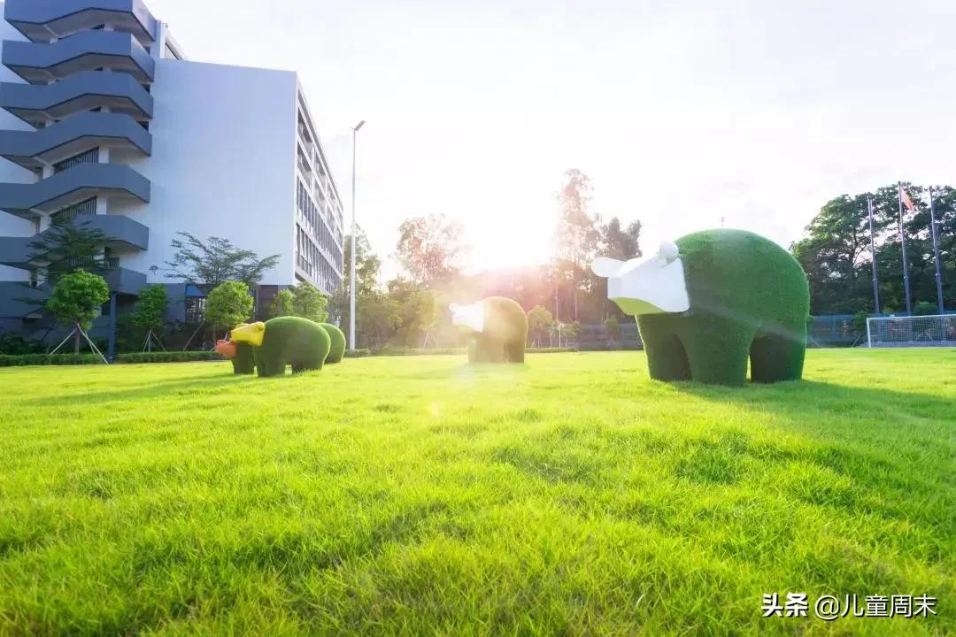 深圳南山外国语小学排名,深圳南山麒麟小学最新排名