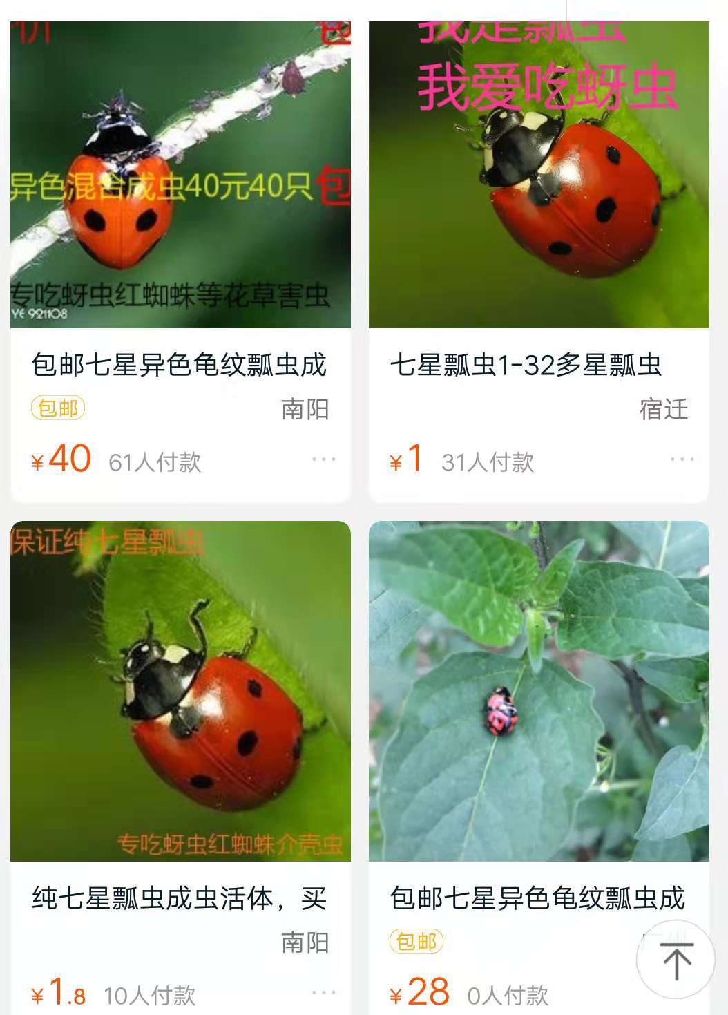 一男子双十一买了没有用的东西,一男子双十一买东西