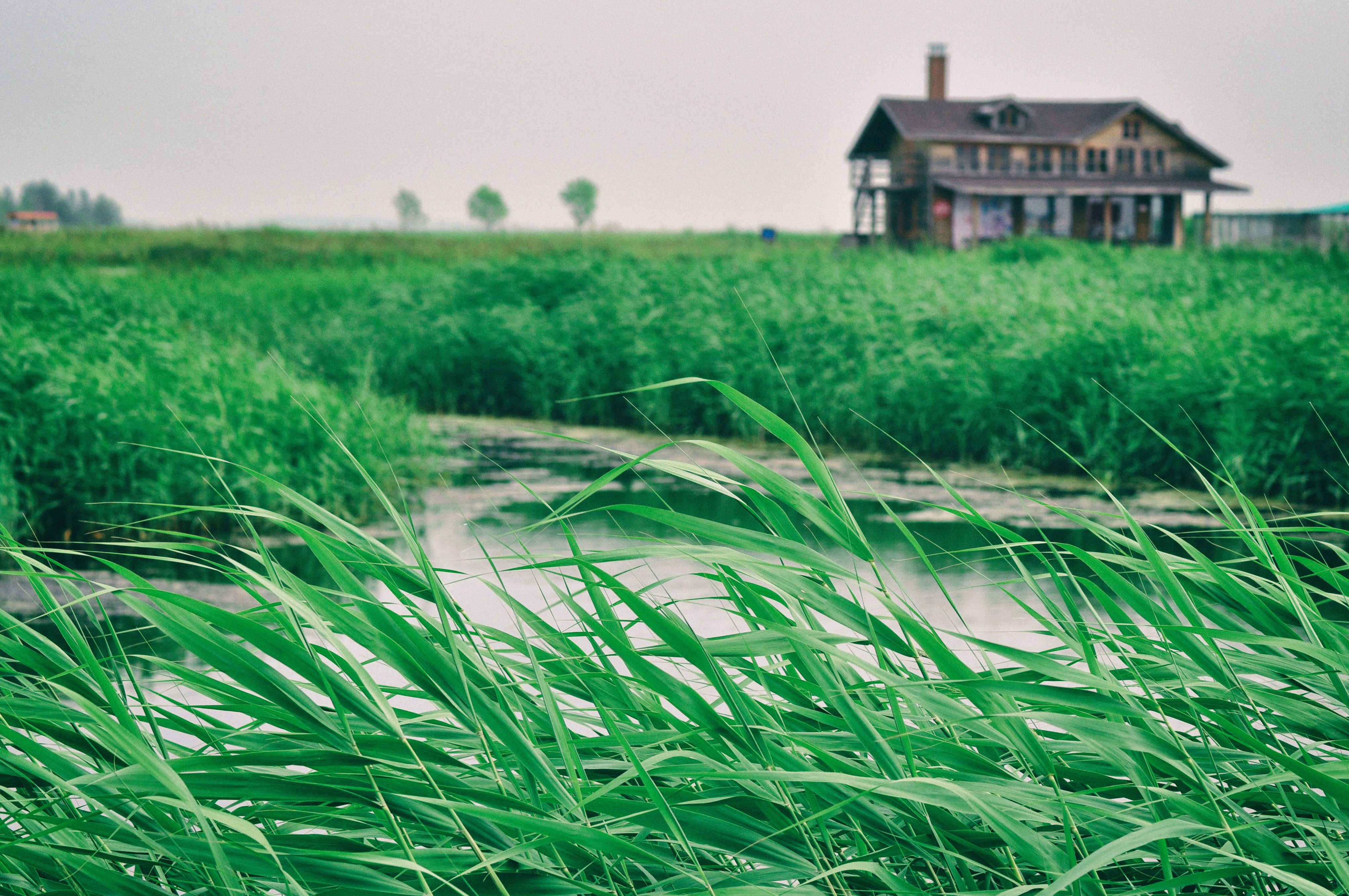 南方人自驾来东北是啥体验,15天一万公里的新疆感受