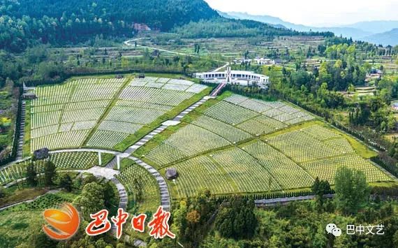 承接历史开创未来,承载历史文脉传承是否正确