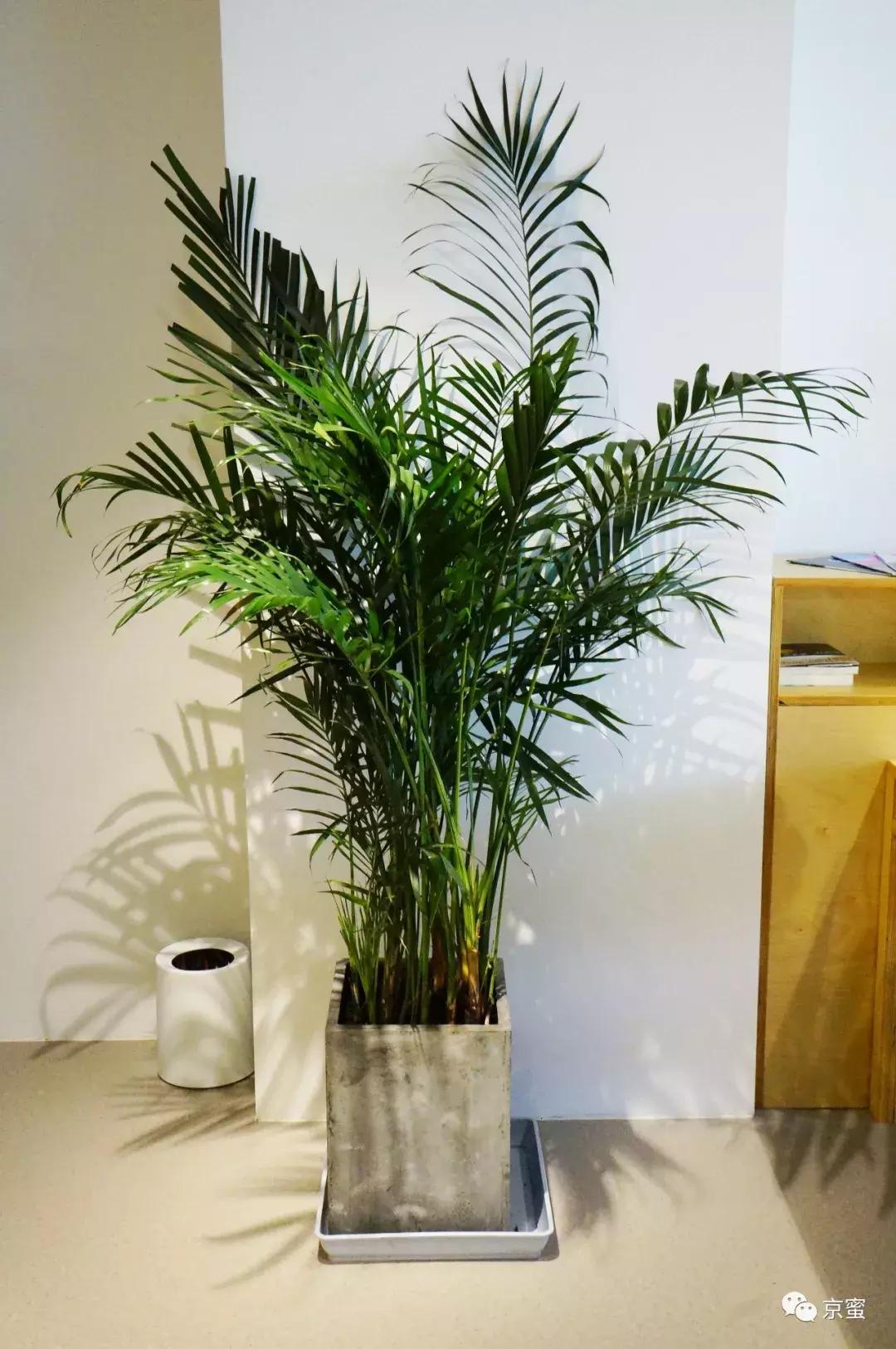 它是读书馆、自习室，更是逐梦空间|福利