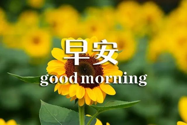 早上好心灵鸡汤正能量语句,早上好的励志句子心灵鸡汤