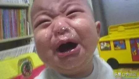 鱼鳔胶怎么样的好,鱼鳔和鱼鳔胶区别