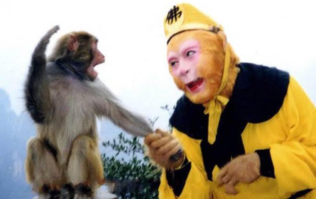 孙悟空和唐僧之间的误解,孙悟空对唐僧忠心耿耿让人折服