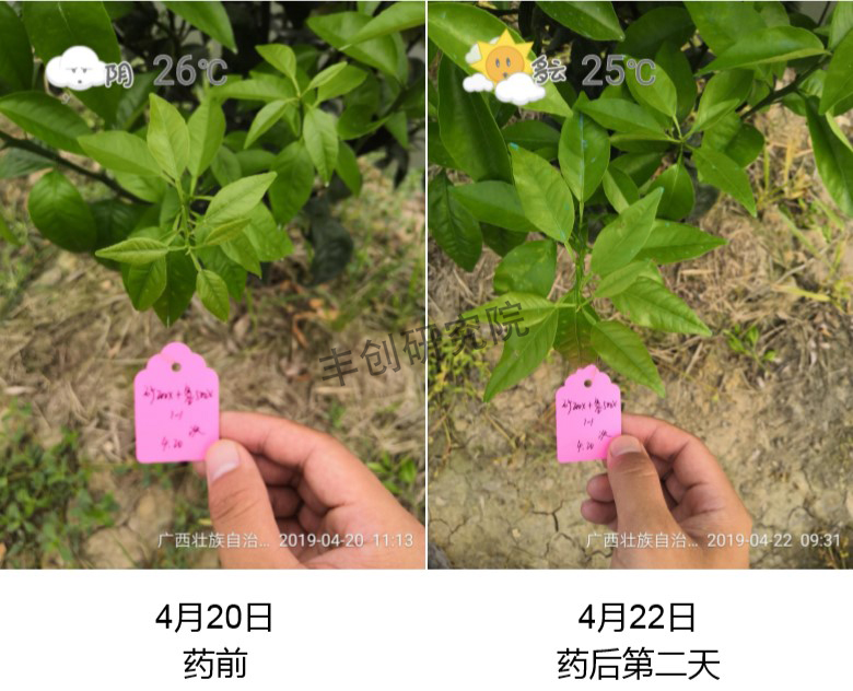 矿物油冬季清园配方和做法,冬季清园打矿物油有注意什么