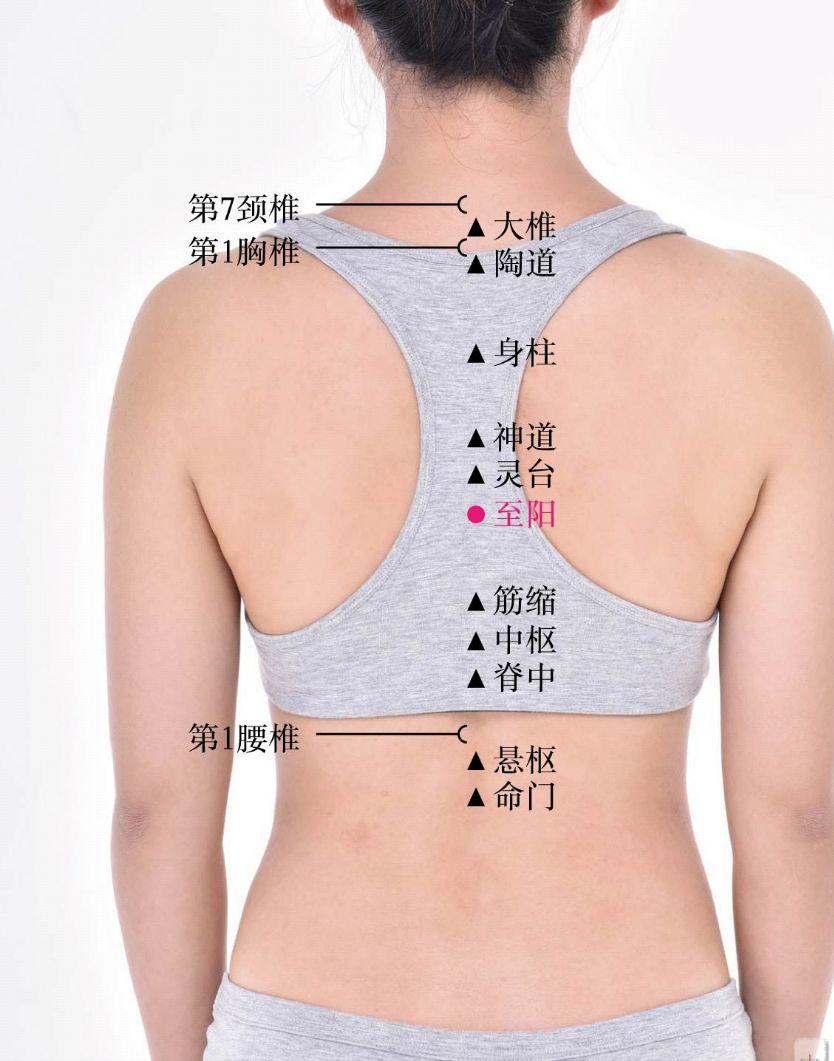 前胸后背疼痛吃什么中药,前胸痛按哪个穴