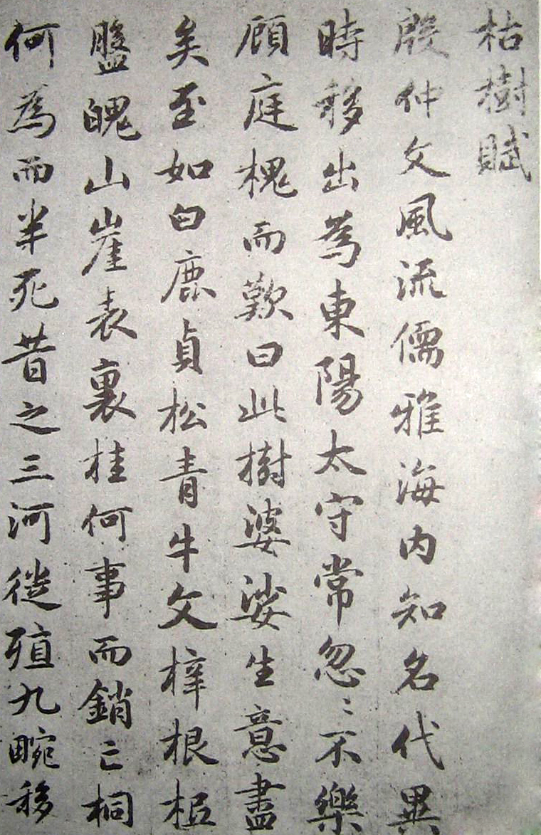 赵孟頫是元代书法家,元代赵孟頫水村图卷