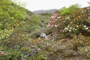 *藏西**山南市概况