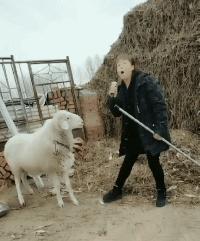 太有意思了,女朋友不屑一顾的表情很到位