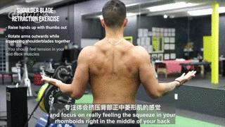 卧推肩痛的原因,卧推肩痛怎么恢复