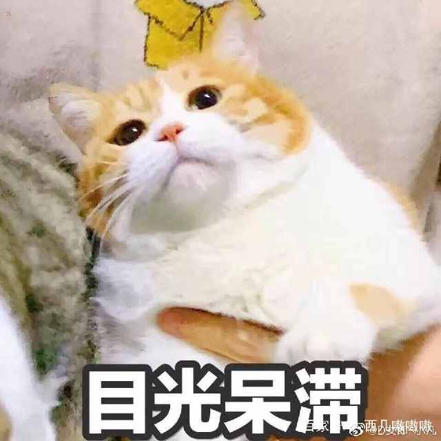 表情包我能怎么办呢,表情包我怎么找不到你了